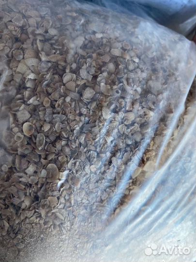 Ракушка, мел крупка, мел порошок