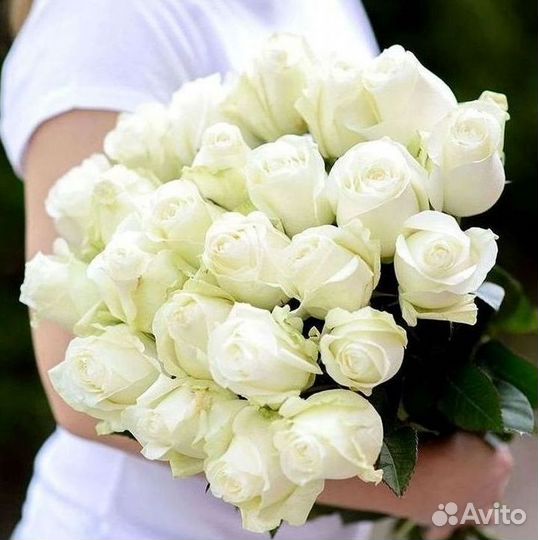 Высокие розы Гигантские розы Доставка цветов