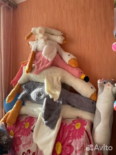 Гусь и фламинго обнимусь. От 20 до 170 см. Новые