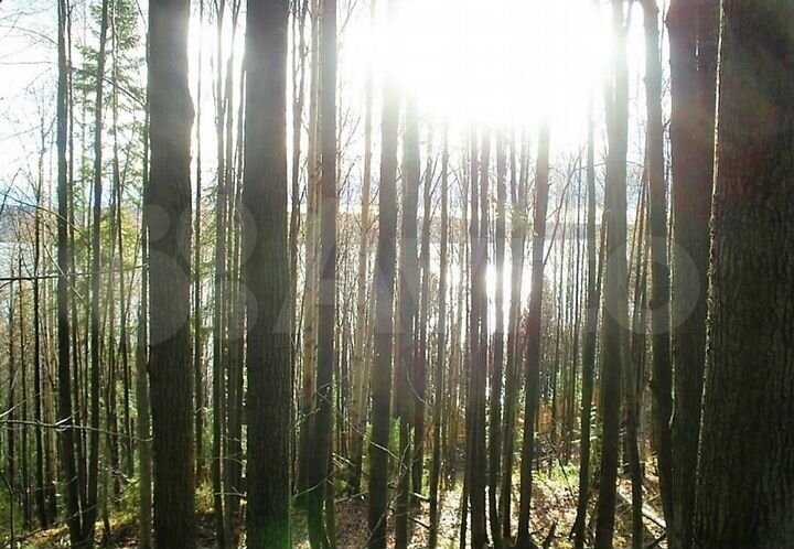 Участок 6 сот. (СНТ, ДНП)