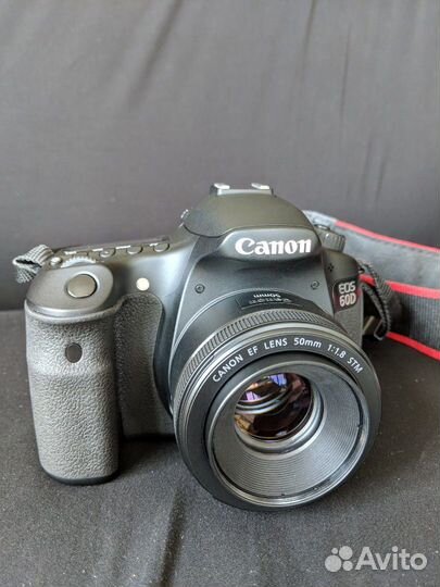 Canon 60d 50mm 1.8 stm