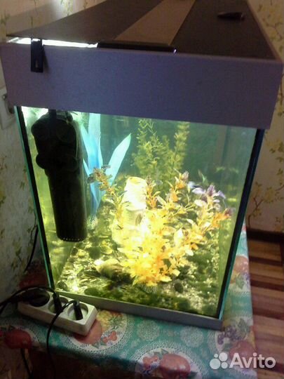 Аквариум 110 л
