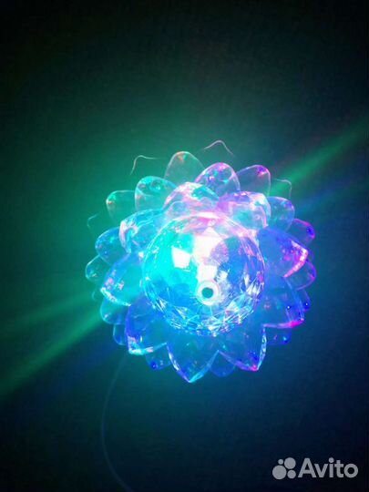 Диско-шар (цветок)