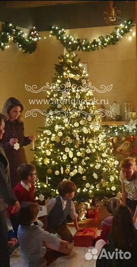 Аренда елки