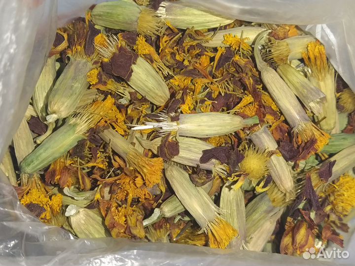 Семена бархатцев