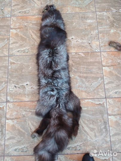 Шкурка чернобурки