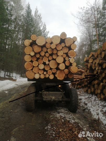 Лес кругляк