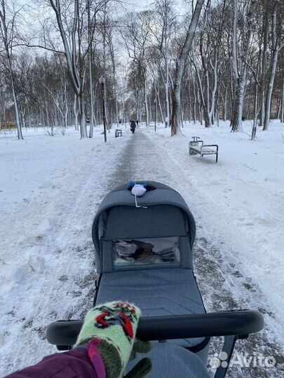 Детские коляски 2 в 1 adamex