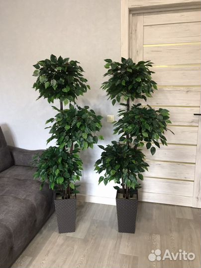 Искусственное дерево Фикус, искусственное растение