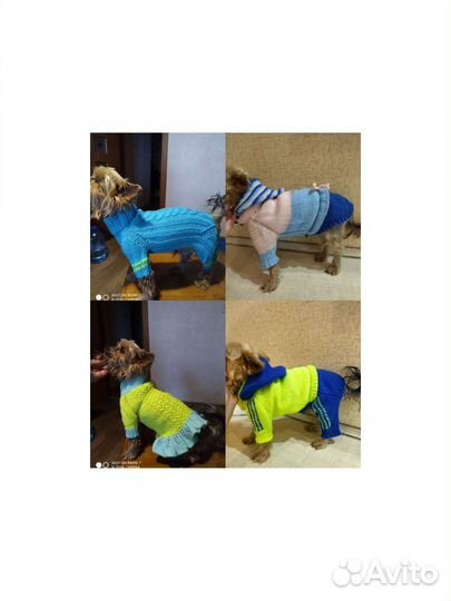 Одежда для маленьких собак