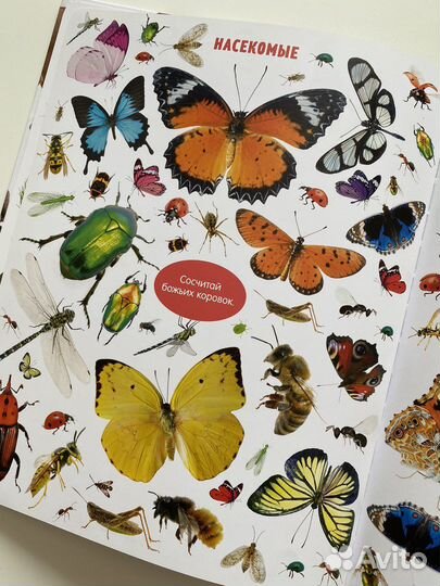 Большая книга малыша животные