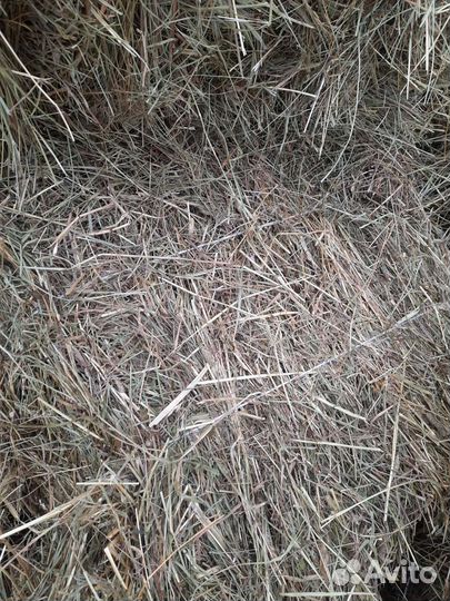 Сено рулоны 2023