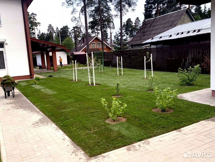 Рулонный газон от производителя