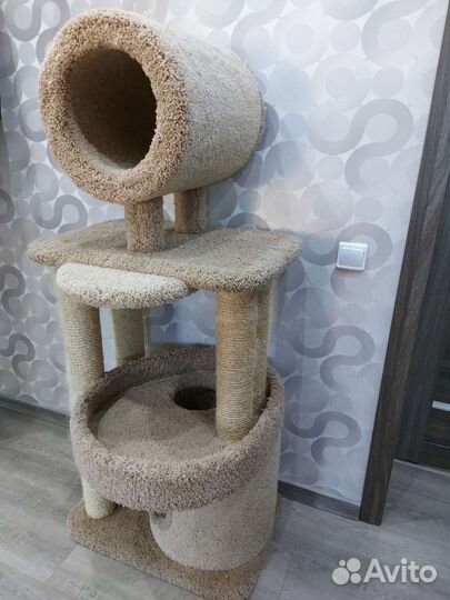 Дом когтеточка