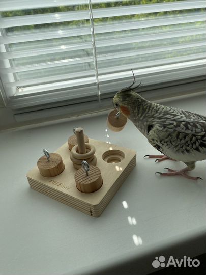 Стенд для попугаев игровой.Бренд: ParrotsLab