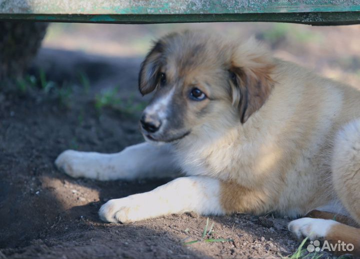 Помогите найти дом