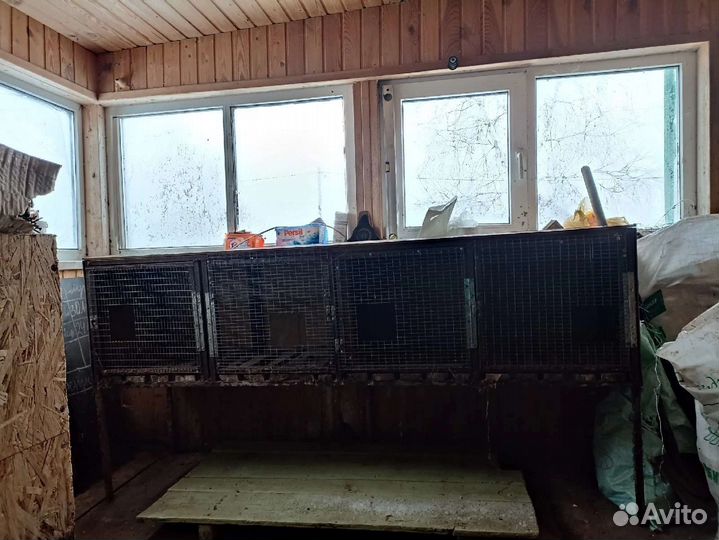 Клетка для животных бу