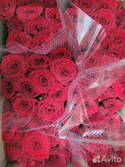 Розы оптом