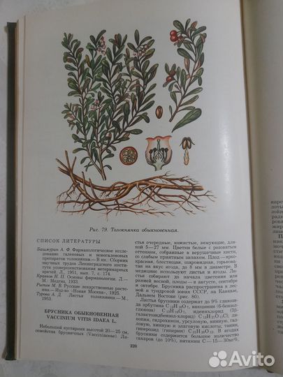 Лекарственные растения СССР