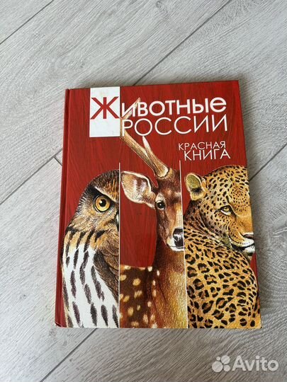 Красная книга животные России
