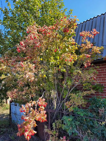 Дача 23 м² на участке 6,2 сот.