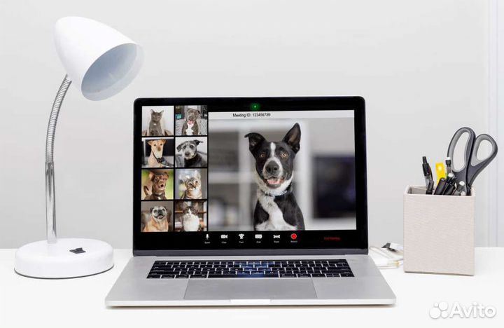 Видеонаблюдение в квартиру/дом за животными