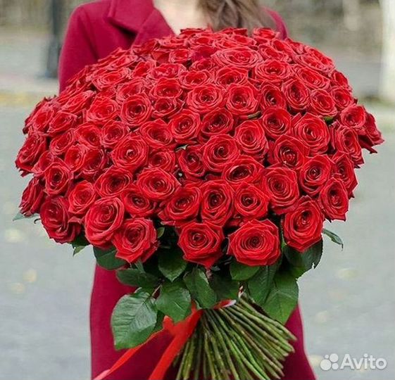 Розы Высокие Розы Гиганты Доставка Москва