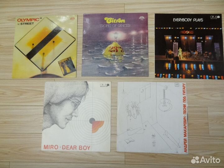 Демократы на английском, Андрей Макаревич