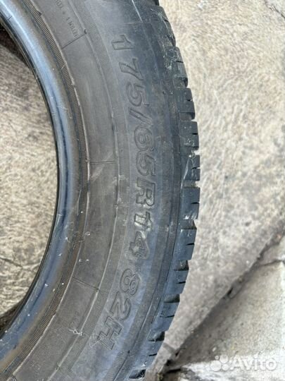 Белшина Бел-257 175/65 R14