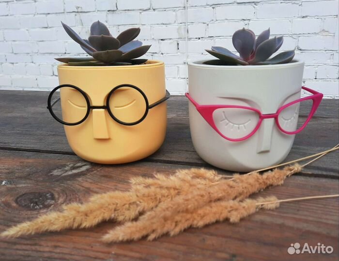 Суккуленты