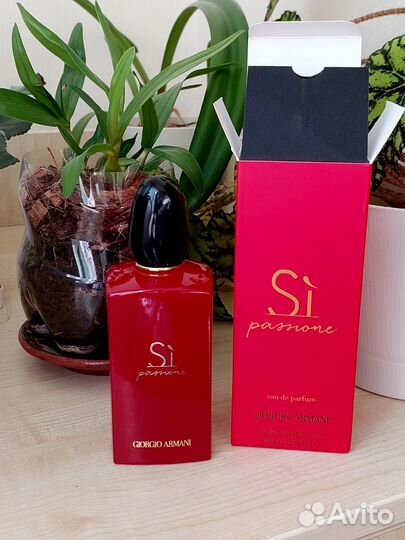 Giorgio armani si passione