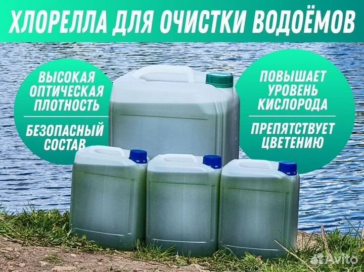 Живая водоросль суспензия для пруда