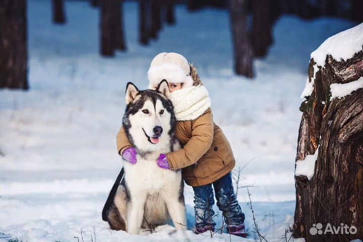 Тур в Карелию на Январские праздники
