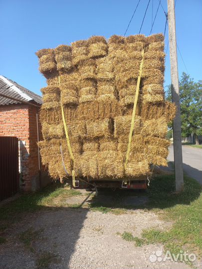 Сено тюки