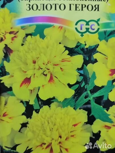 Бархатцы(тагетес)