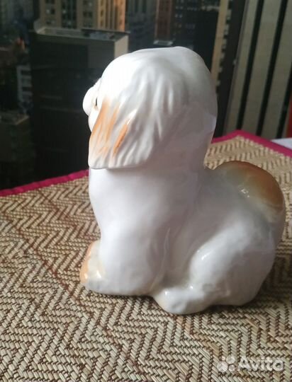 Пекинес СССР