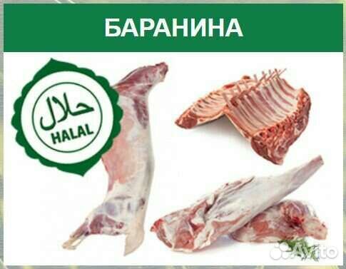 Бараны и овцы мясо живой вес