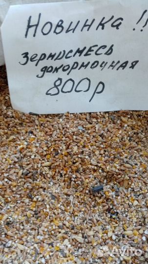 Корма для животных