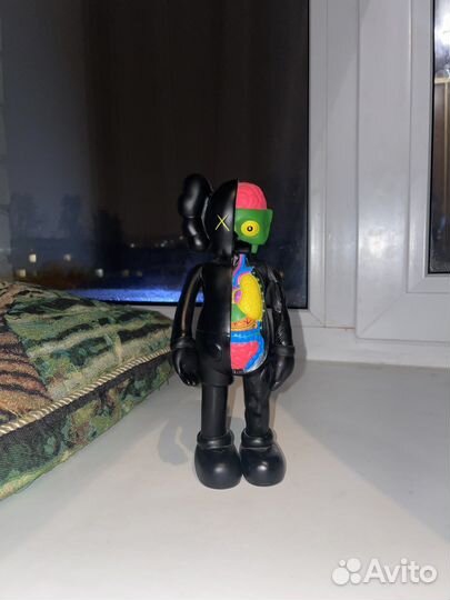 Kaws Anatomy Companion
