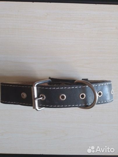 Шлейка, ошейник, поводок и кормушка