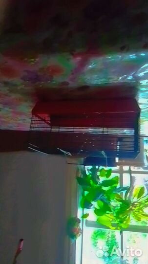 Клетка для грызунов