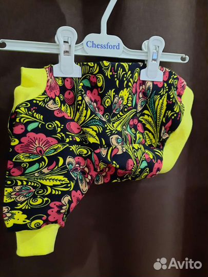 Пошив одежды для собак