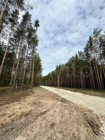 Участок 100 сот. (ИЖС)