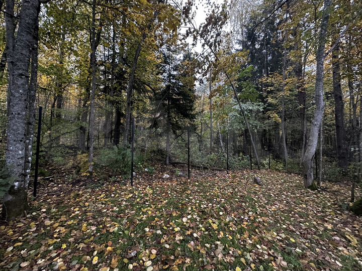 Дом 49 м² на участке 6 сот.