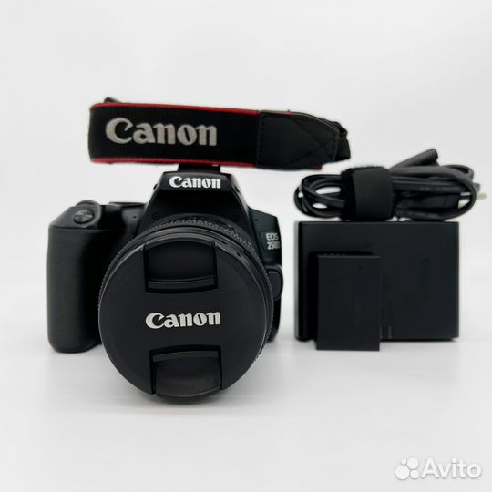 Canon 250D EF-S 18-55 IS STM Kit