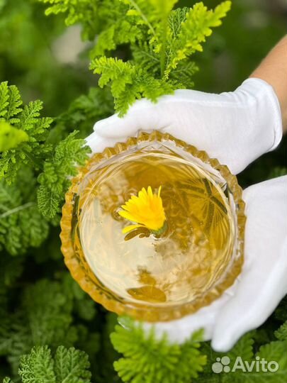 Мед (высокогорный, Усть- Коксинский)