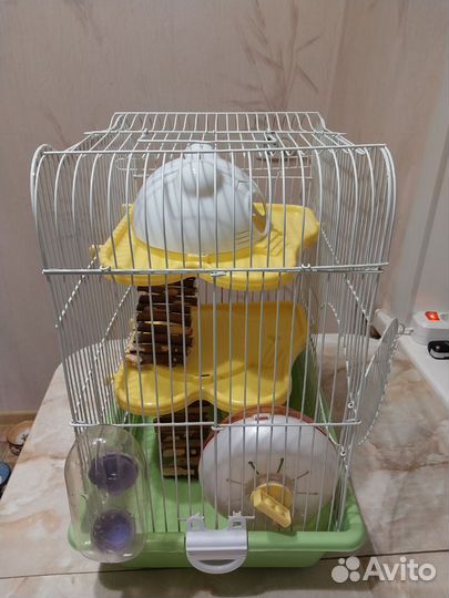 Клетка для джунгарского хомяка