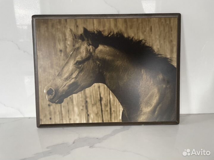 Лошадь картина