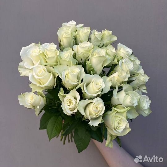 25 роз. Розы 40 см. Букеты. Доставка. Калининград