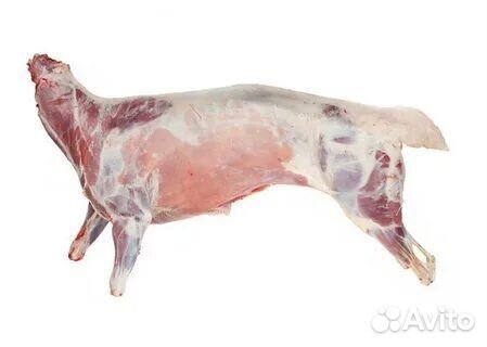 Мясо козлятина и баранина